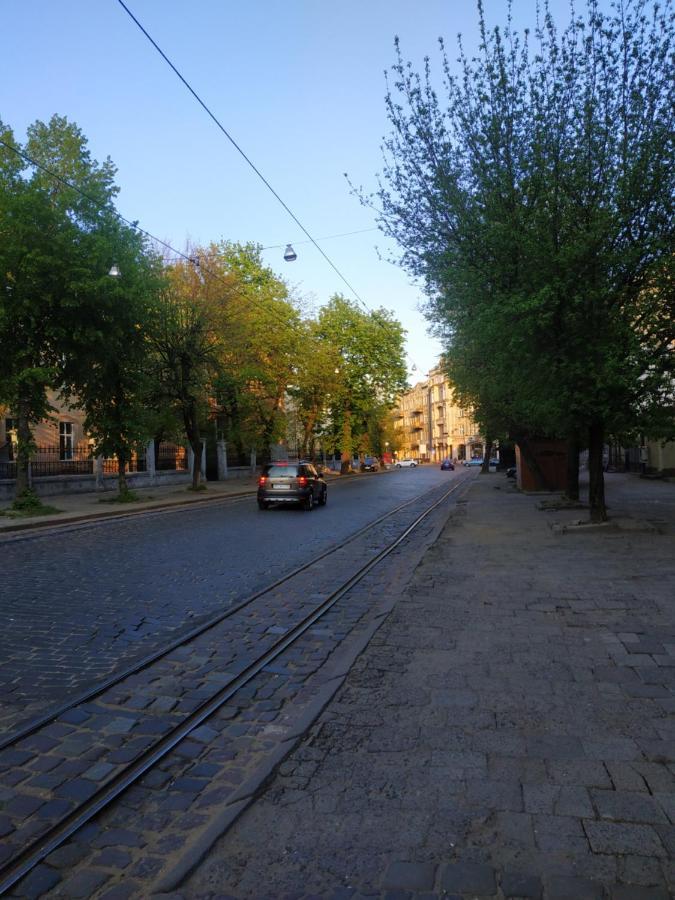 Cozy Studio For Couple Near Polytechnic University Lviv Eksteriør bilde